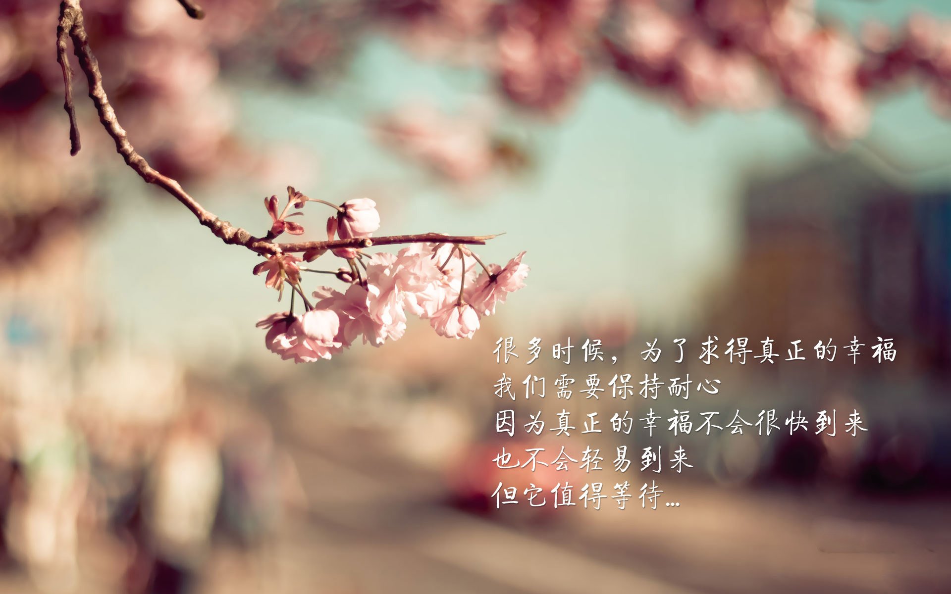乌拉圭队门将费尔南德斯在巴黎奥运会上展现出高水平的扑救能力
