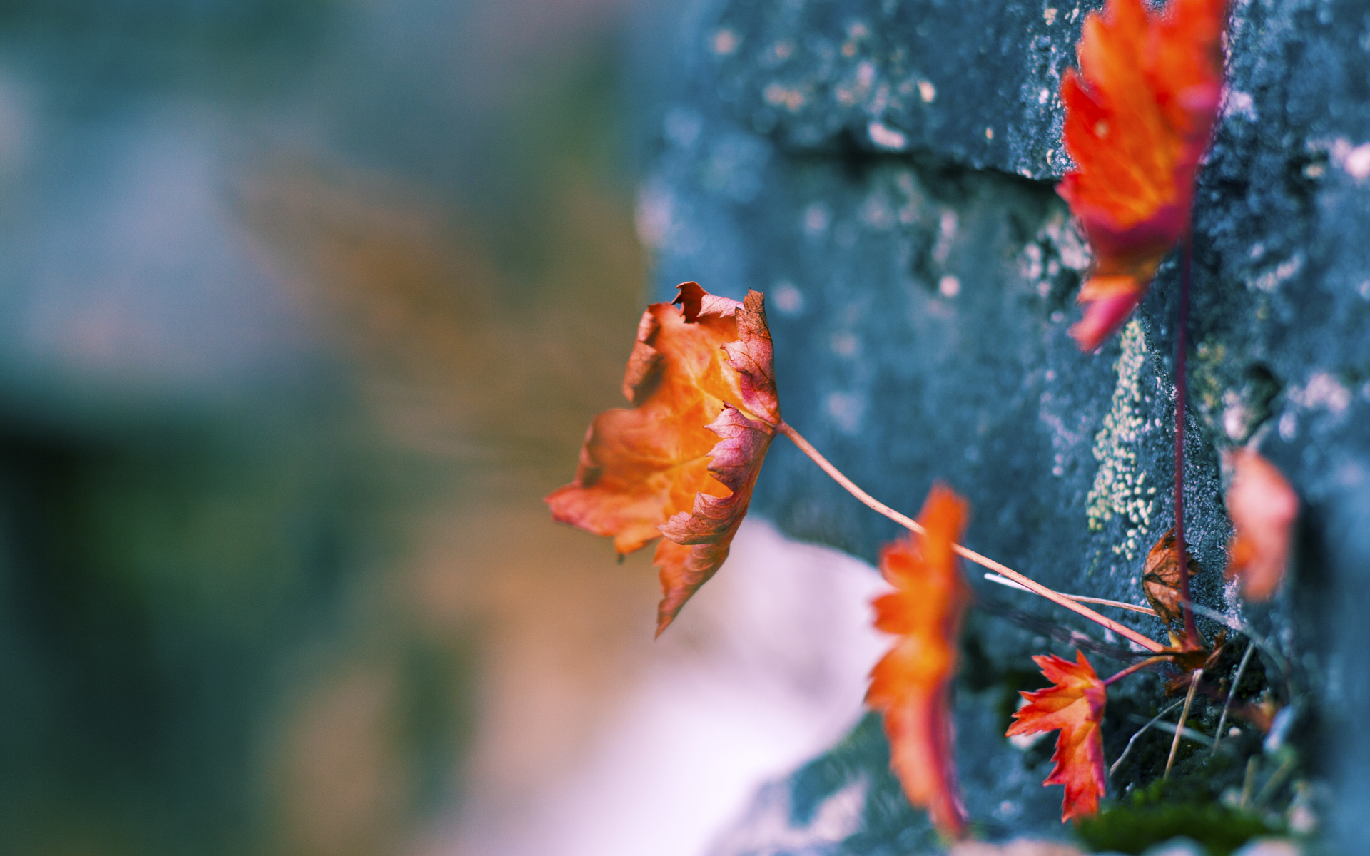 勇士这支球队是否还有希望逆转,勇士还有机会进季后赛吗