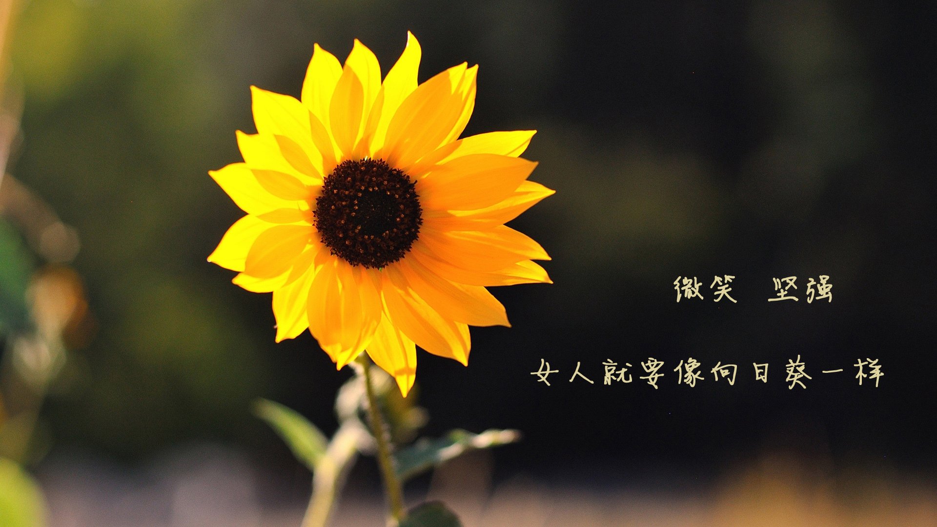 赫塔风采再现，客场力克对手占据优势，赫达克利特