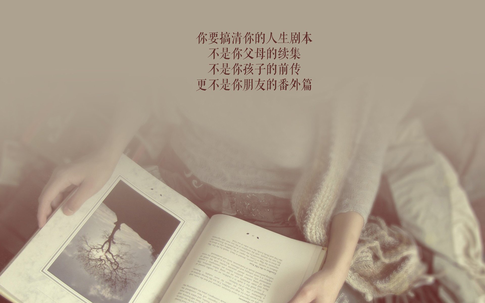 开云网页版登录入口-里尔战胜圣埃蒂安，豪取三分缩小与领头羊的差距，里尔对圣埃蒂安比分预测