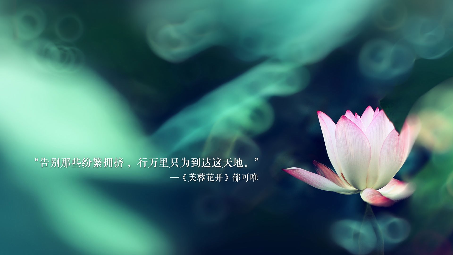英超球迷行为识别平台在观众参与度提升方面的成果，英超联赛观众