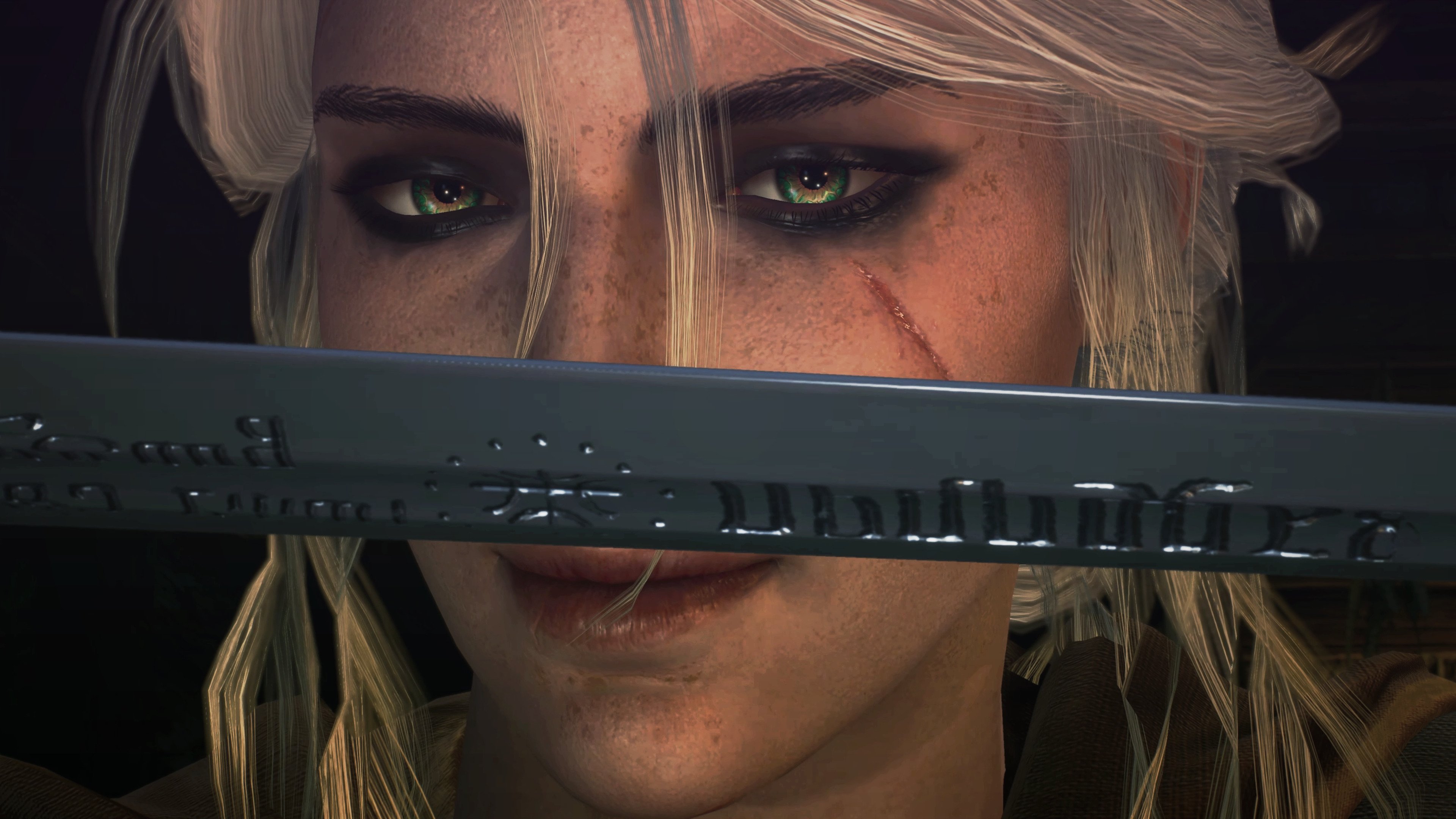 体育新闻中心主办体育文化数字创新交流论坛,体育数字化平台