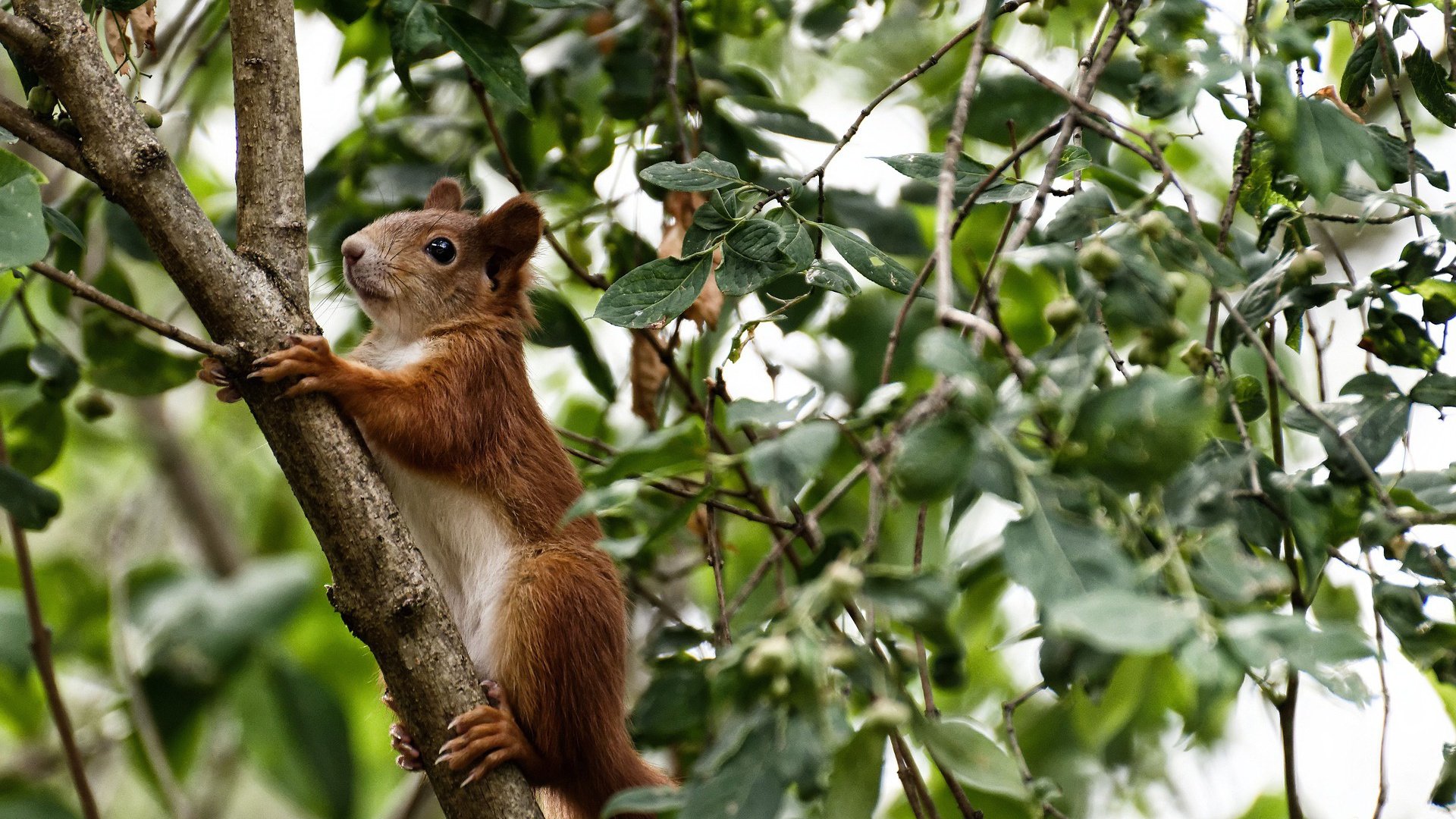 电竞选手作息规律调整提升身体与专注力,电竞选手日常作息