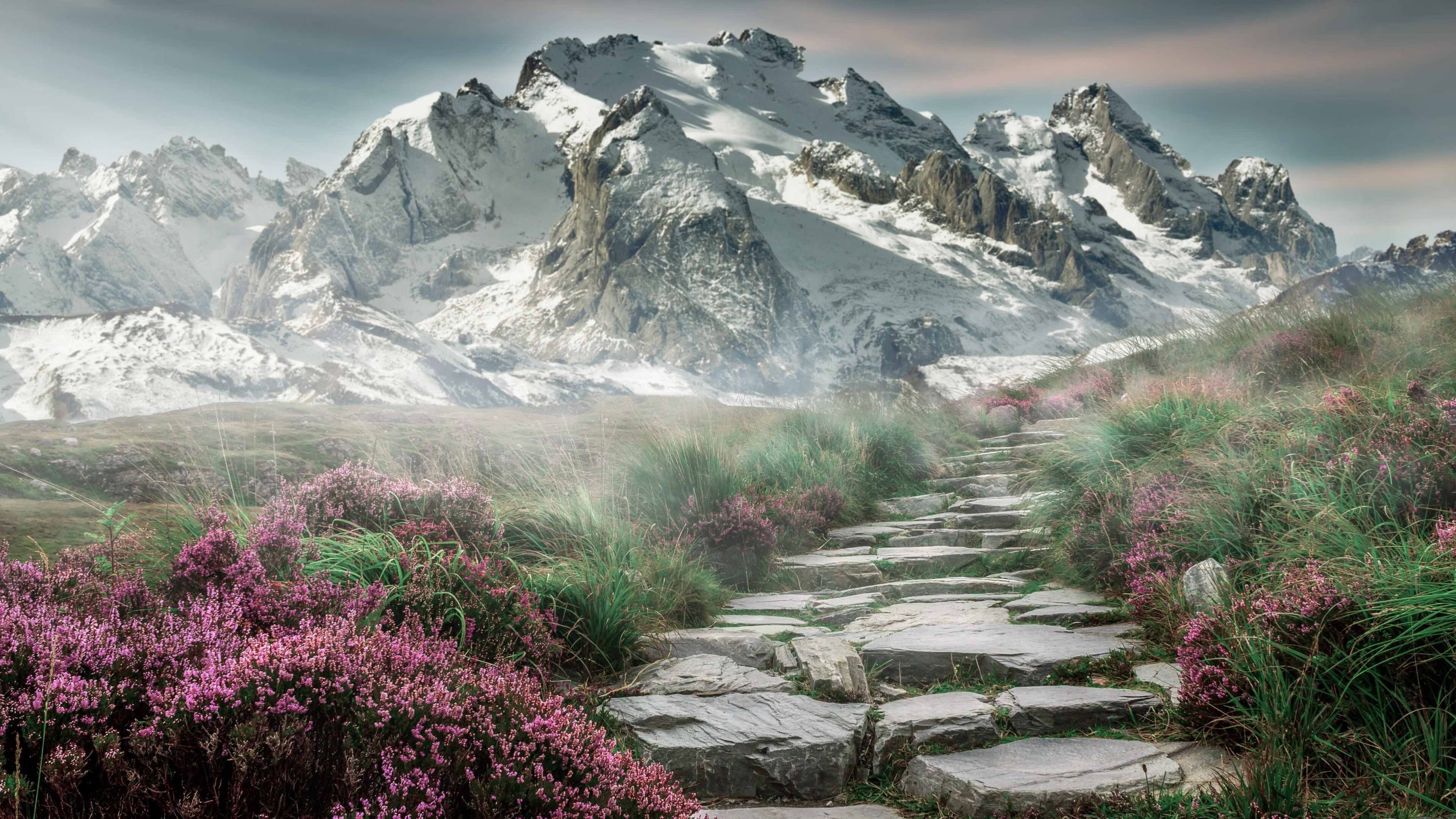 开云中国-直播平台引入多机位切换自动推荐模式，直播推荐位什么意思