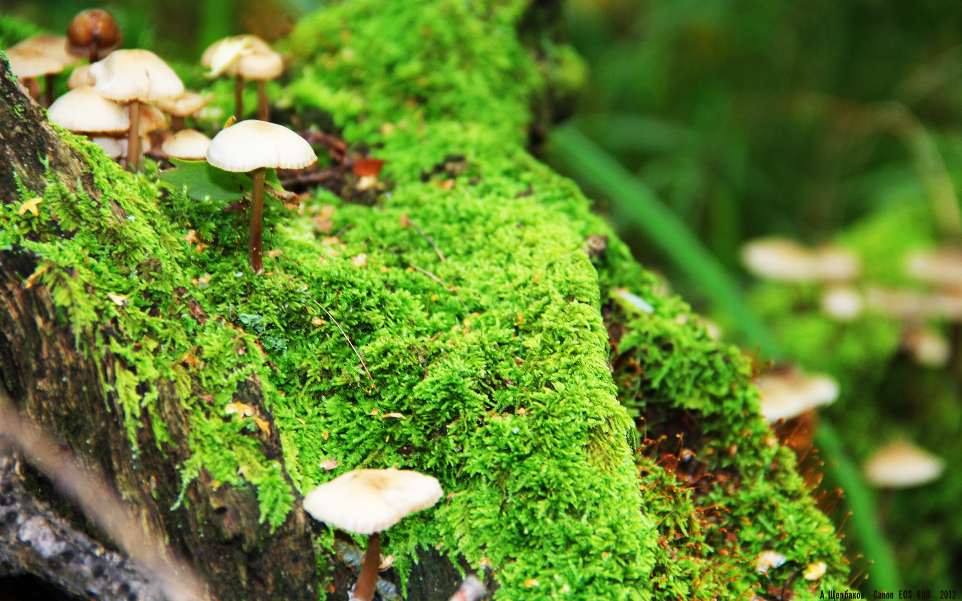 开云体育APP下载-自由泳转身时间排行榜公布，自由泳转身规则 犯规