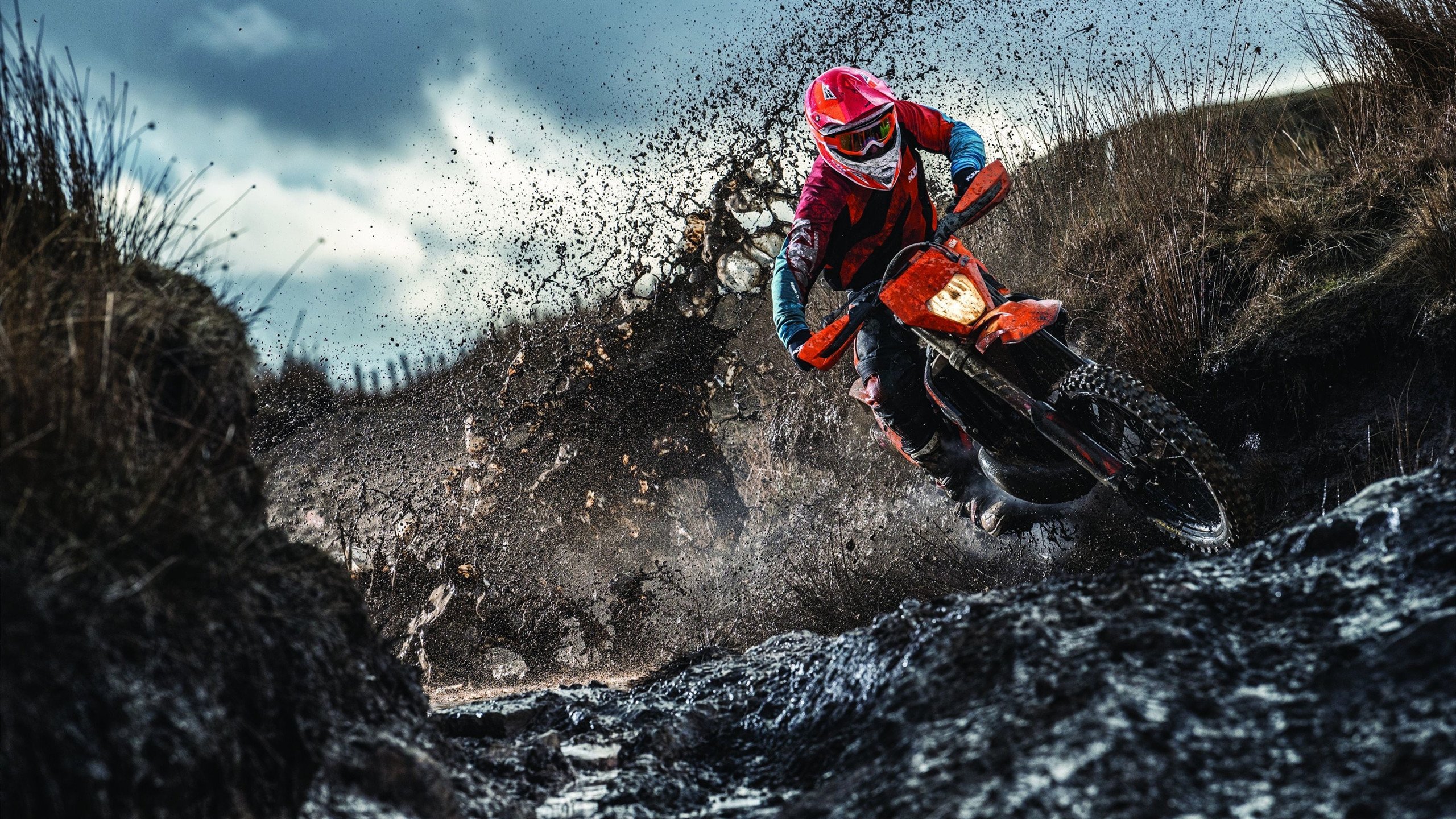 自由泳转身时间排行榜公布,自由泳转身规则 犯规