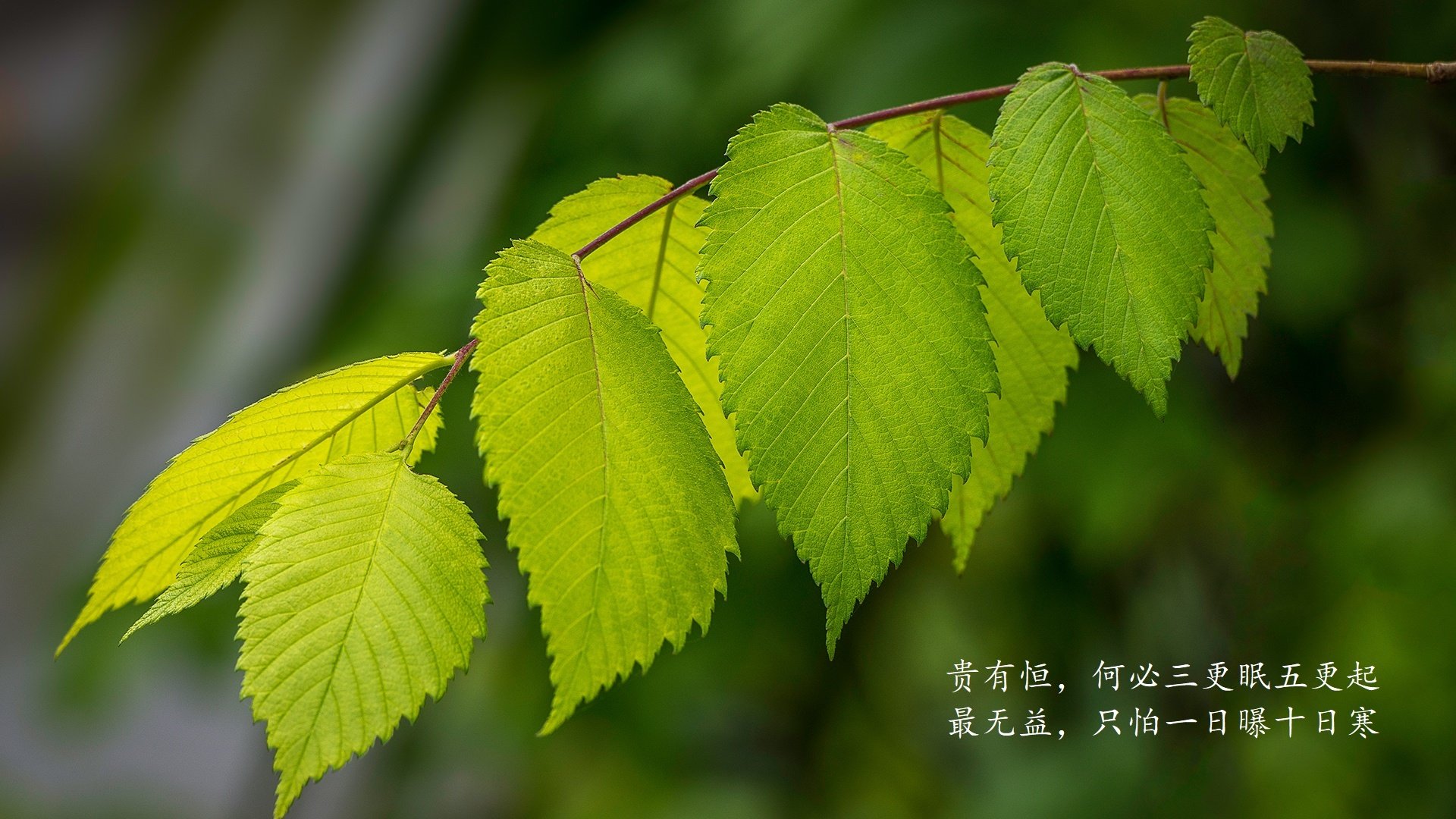 开云平台-青训中心设施使用率严重不足，青训中心设施使用率严重不足的原因