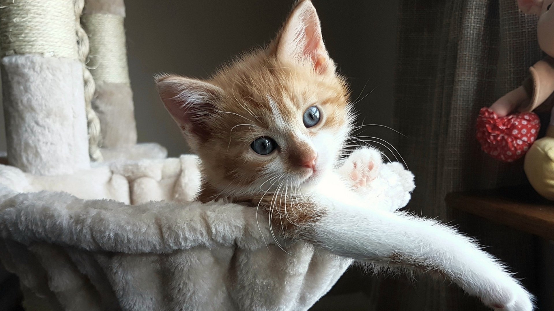 世界杯经典合集:每秒都动心!,世界杯经典程度排行