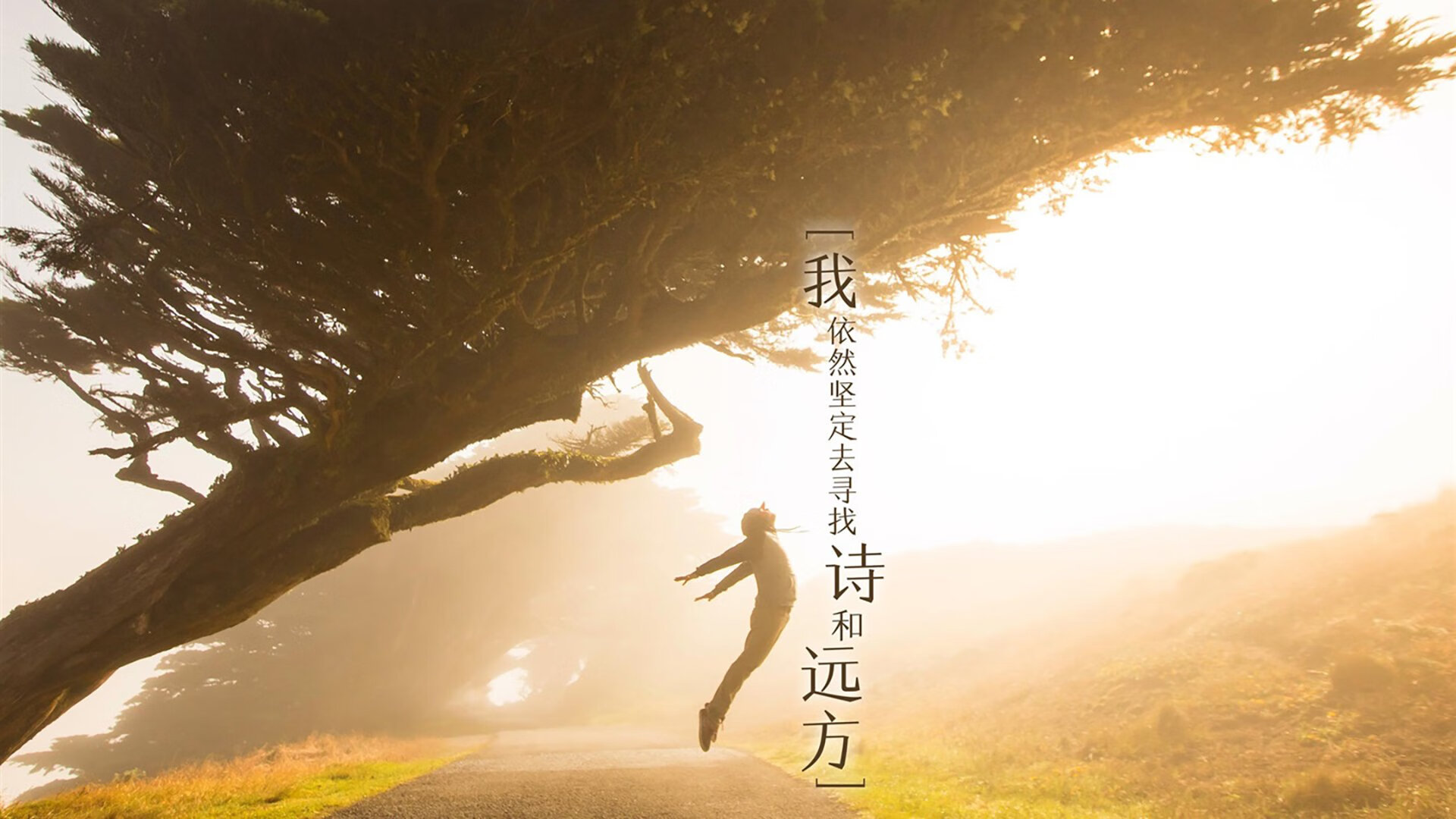 恩多耶-布鲁阿尔决赛精彩瞬间成为焦点,多恩布什