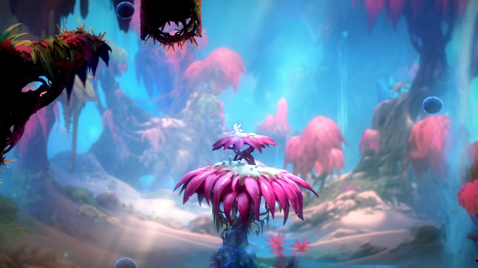 王楚钦赛后表示感谢现场观众，王楚钦什么水平