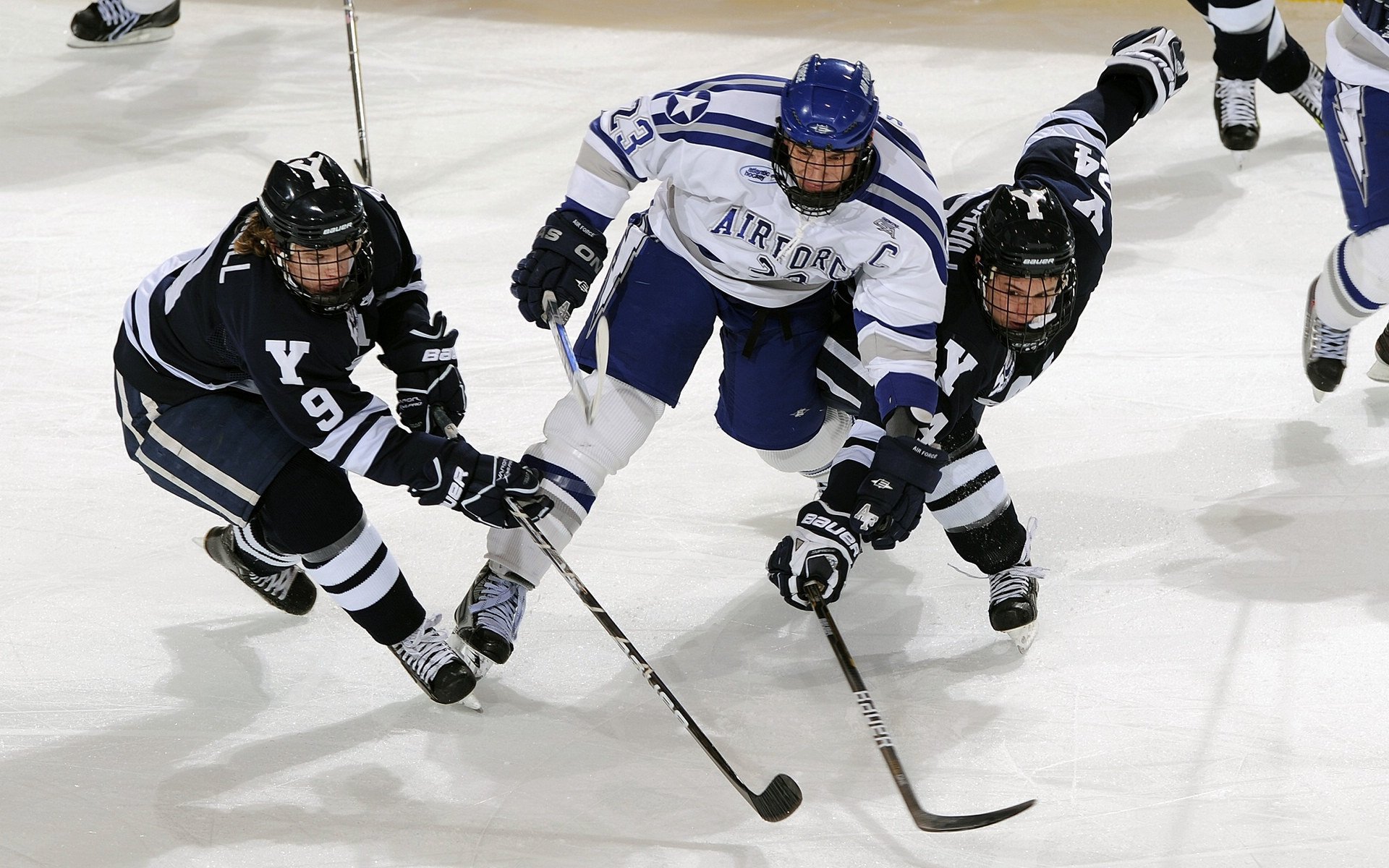 _国际冠军御用：场外花絮曝光运动员日常_，运动员冠军名单
